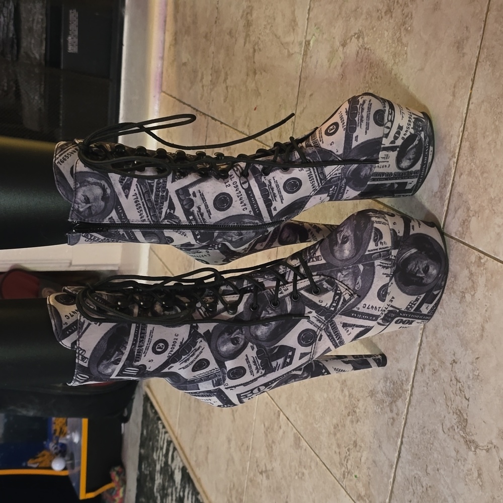 Dollar Bill 6 in Pleaser Heels